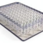 Caplugs Evergreen 96-Well Deep-Well Plate DP9C, 0.5 mL PPC, 20 Pack-0