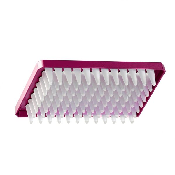 Axygen PCR-96M2-HS-V Skirt 96-Well Plate 300µL Violet PP RNase-Free-0