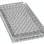 Caplugs Evergreen 96-Well Sterile Round Bottom Plate with Lid 100 Pack-0