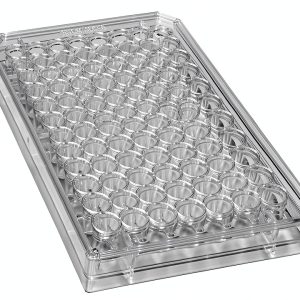 Caplugs Evergreen 96-Well Sterile Round Bottom Plate with Lid 100 Pack-0