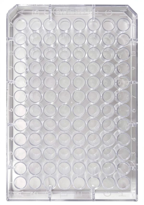 Caplugs Evergreen 96-Well Deep-Well Plate Polystyrene 0.5 mL Pack 20-1
