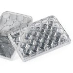 Polystyrene Sterile Flat Bottom 24-Well Plate Corning 3.4 mL Wrapped-0